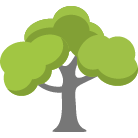 Orchard Pruning