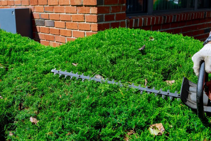 Landscape Trimming Service in Ventura County, CA