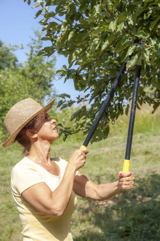 Orchard Pruning
