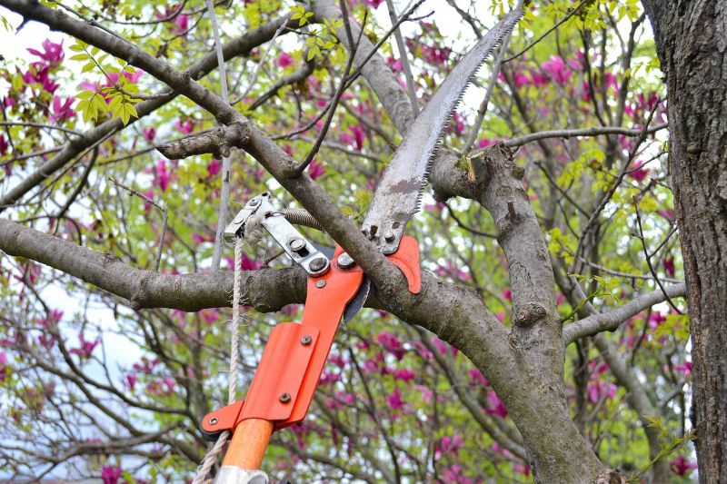 Pruning Equipment in Use