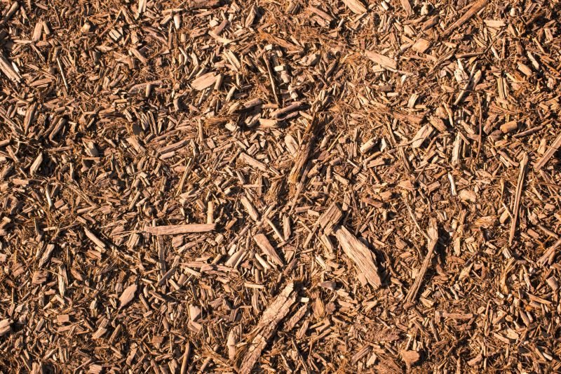 Mulching with Chipped Prunings