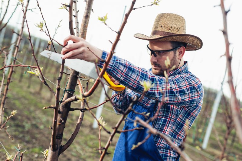 Products For Orchard Prunings in use