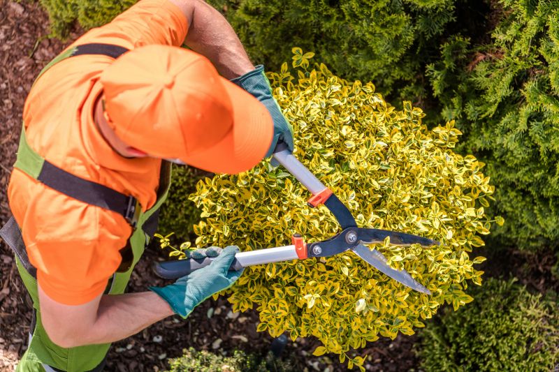 Increase Your Orchard Pruning Business with an AI Driven, Targeted Website